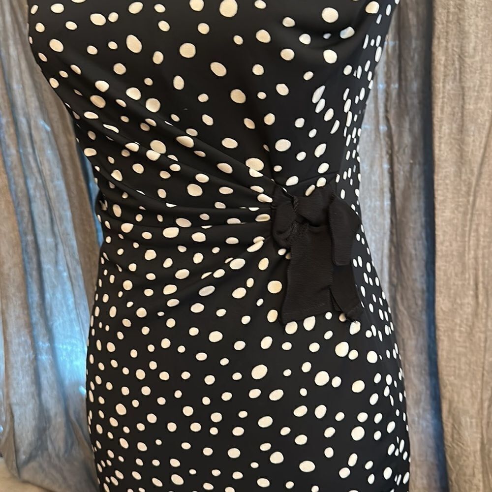 The limited polka dot dress - Picture 2 of 6